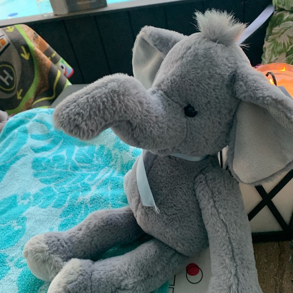 Elephant - Picture 2 of 8